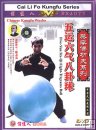 CaiLiFo Five-Yun six-Qi Eight-Trigrams Ball CaiLiFo Five-Yun six-Qi Eight-Trigrams Ball