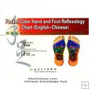 eBook: Pocket Color Hand And Foot Reflexology Chart (English-Chinese)